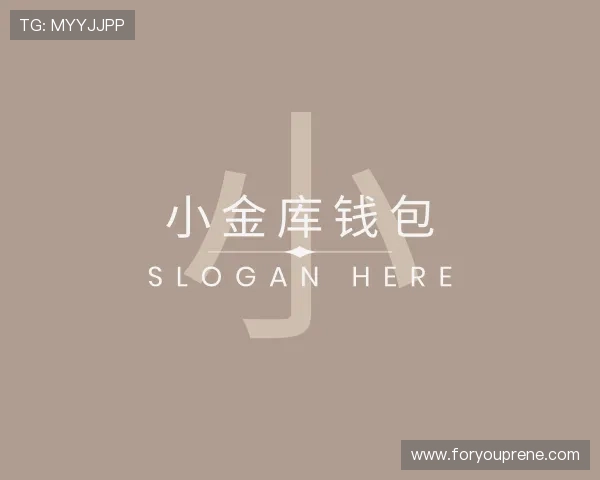 发现小金库钱包官网